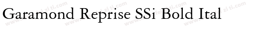 Garamond Reprise SSi Bold Italic字体转换